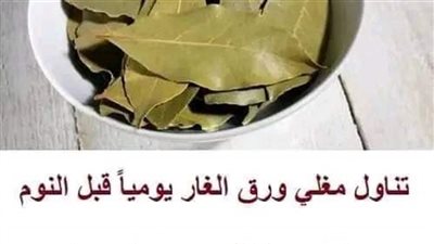 اعتبروه اغلى مشروب على وجه الأرض، تناول مغلي ورق الغار يوميًا قبل النوم وشاهد ما الذي يحدث لجسدك اغرب من الخيال