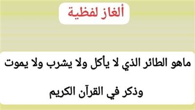 نشط عقلك.. ما هو الطائر الذي لا يأكل ولا يشرب ولا ېموت وذكر في القرآن الكريم