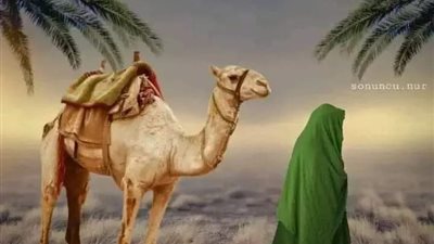 قصة و عبرة