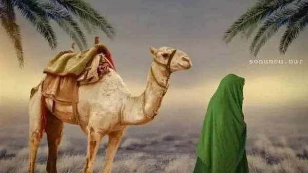 موقع أيام نيوز