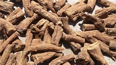 القسط الهندي  هو وصية المصطفى ﷺ  