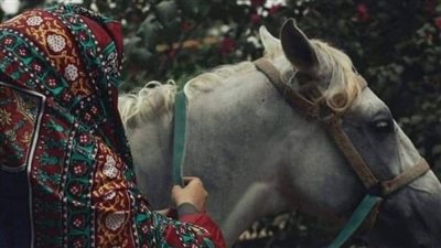 السيدة عائشة تحكي إنه في يوم كان رسول الله عندها 