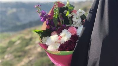شرح حديث من أخذ السبع الأول من القرآن فهو حبر