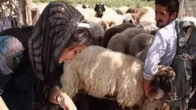 دخل رجل غريب الى مطعم في الشام وطلب رغيف خبز اكل نصفه وترك النصف الأخر