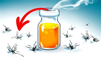 طرق للتخلص من البعوض