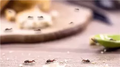 هذه العلامة موجودة في العديد من المنازل 😳.. اذا وجدتها ابتعد عن المنزل 