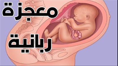 لماذا يعيش المولود في شهره السابع بينما لا يعيش من يولد في الشهر الثامن؟