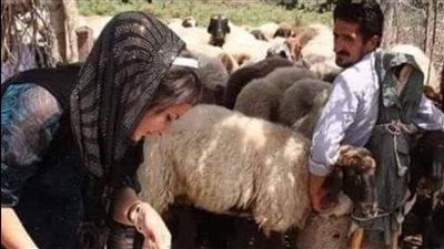 قصة و عبرة