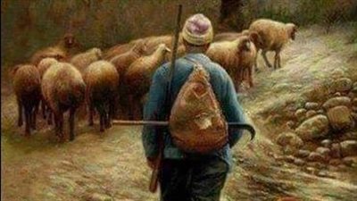 قصة وعبرة